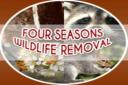 Four Seasons Wildlife Removal Etobicoke logo